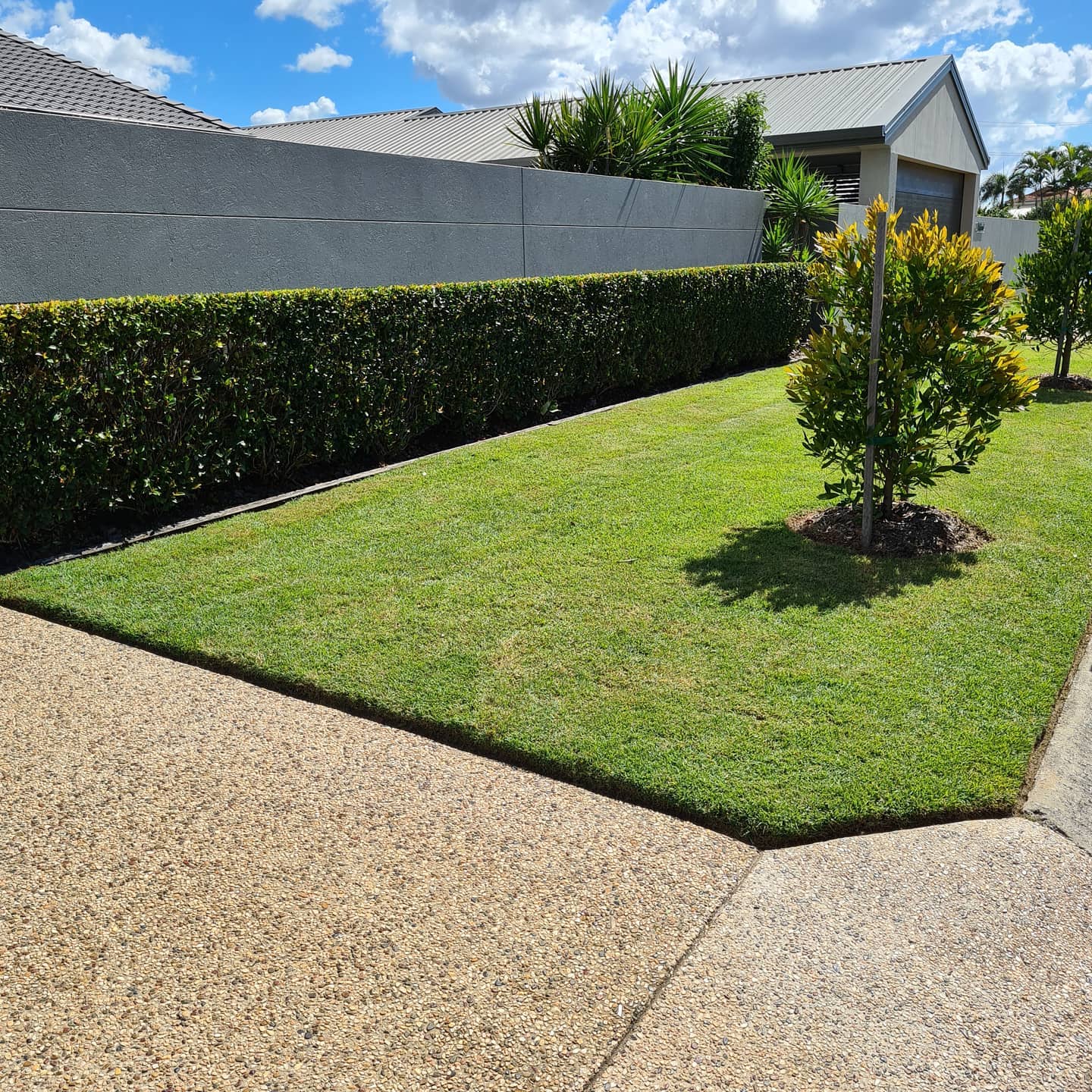 garden maintenance - garden verge and tree