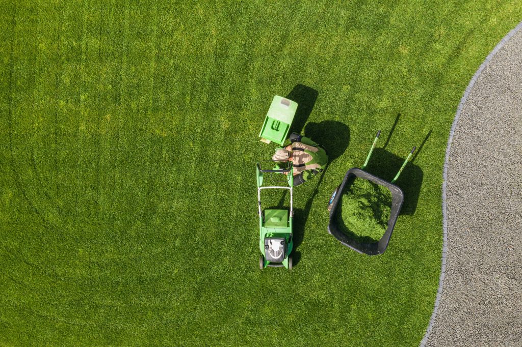 Regular Mowing And Why It Is Important