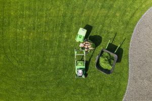 Lawn Care - Backyard Garden Lawn Mowing and Maintenance Aerial View