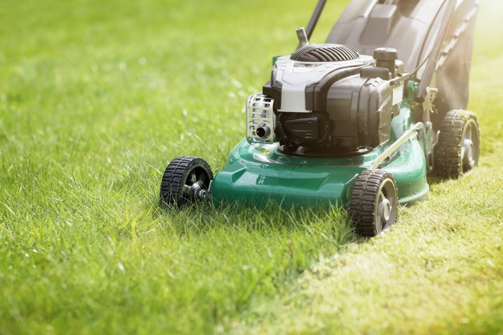 lawn mowing and maintenancet - Mowing the grass