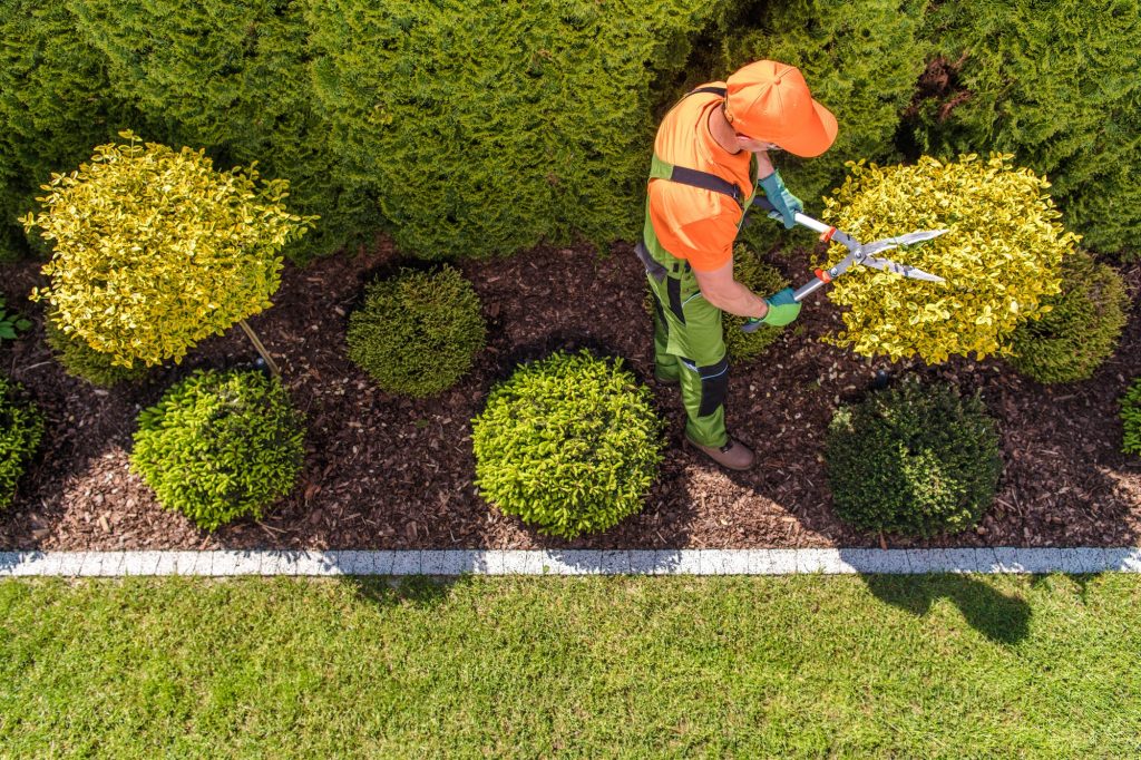 Finding A Professional Lawn Care Service - man trimming bush aerial view