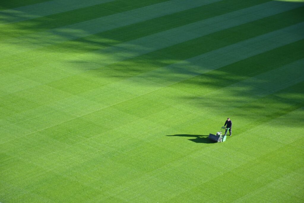 Benefits of Professional Lawn Care Services - man mowing aerial view
